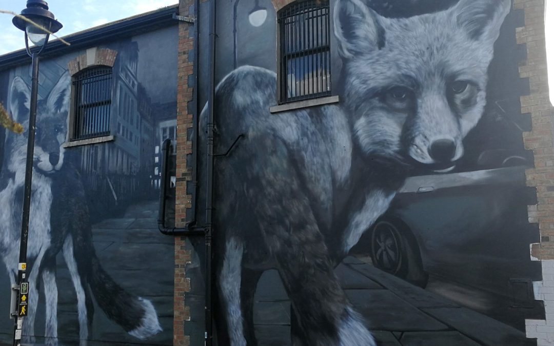 DUBLIN BLACK AND WHITE